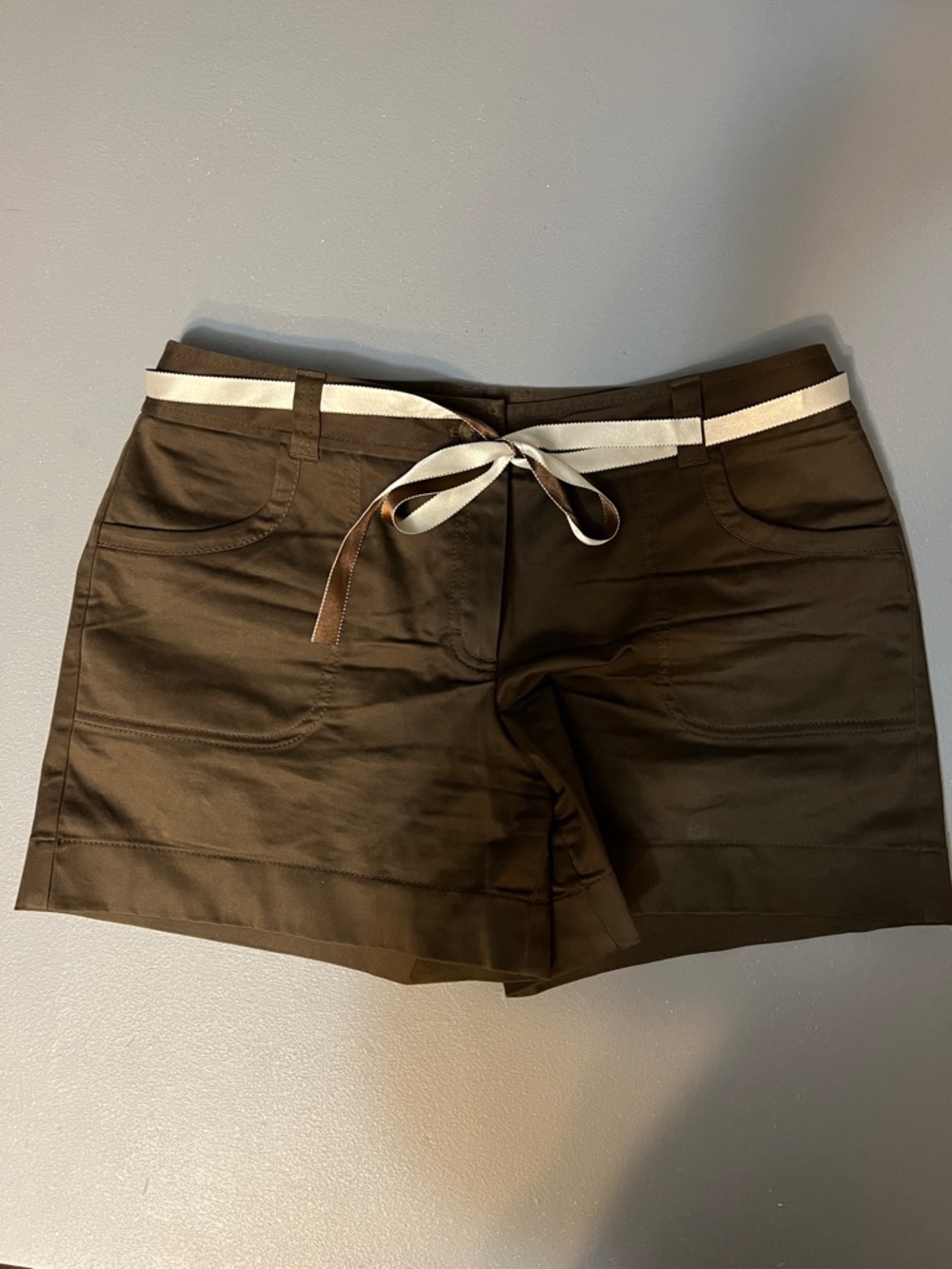 Ann Taylor Brown Shorts with Cream Trim